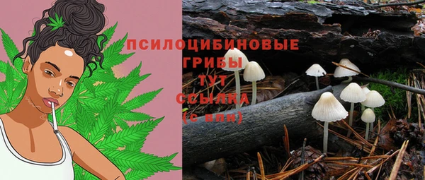 тгк Абдулино