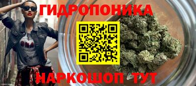 скорость Гусев