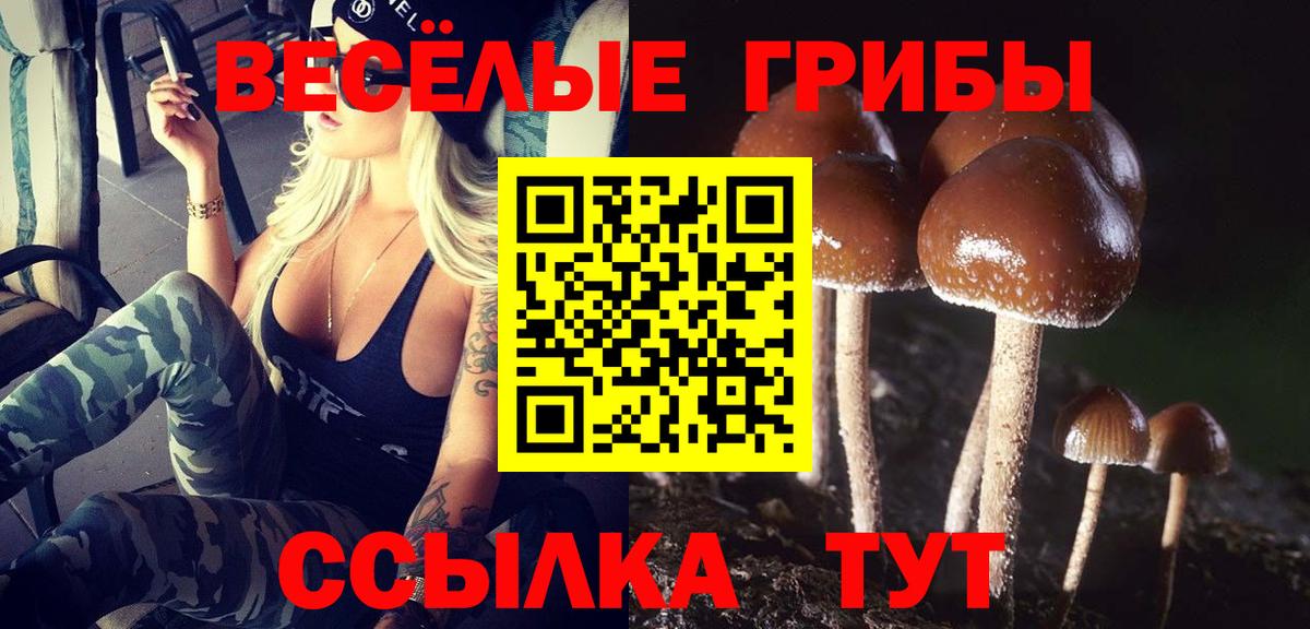 МЕТАМФЕТАМИН  Вход с VPN  Купить наркотики  Вейп ТГК  Меф кристаллы  Лсд 25  COCAIN  Новоалександровск  Бошки Шишки 