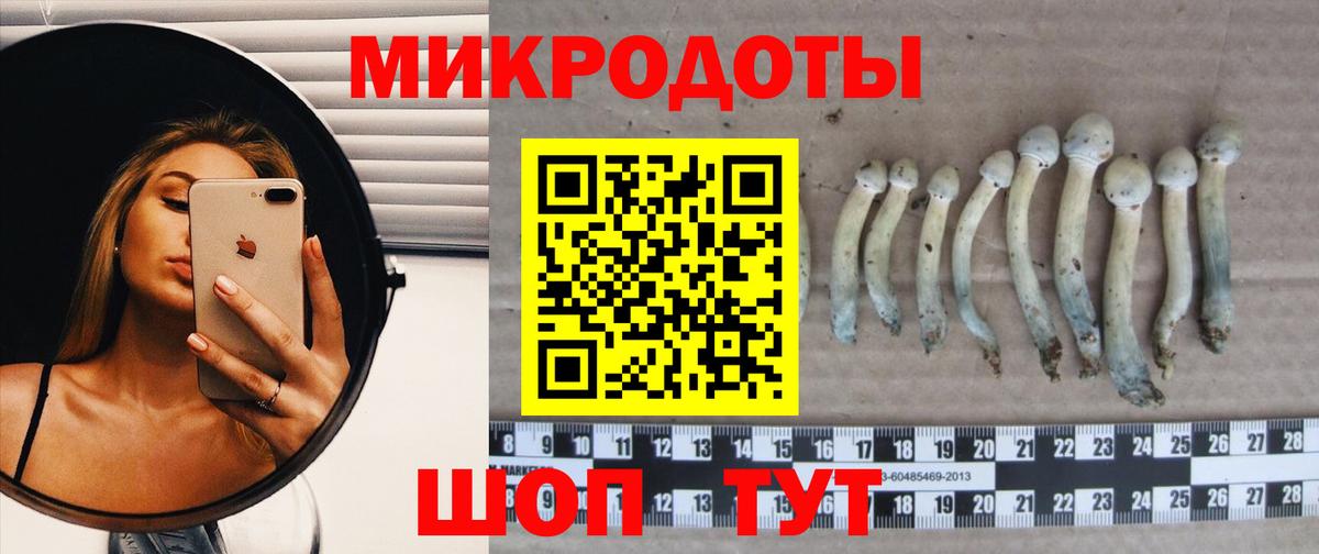 Псилоцибиновые грибы ЛСД Новоалександровск